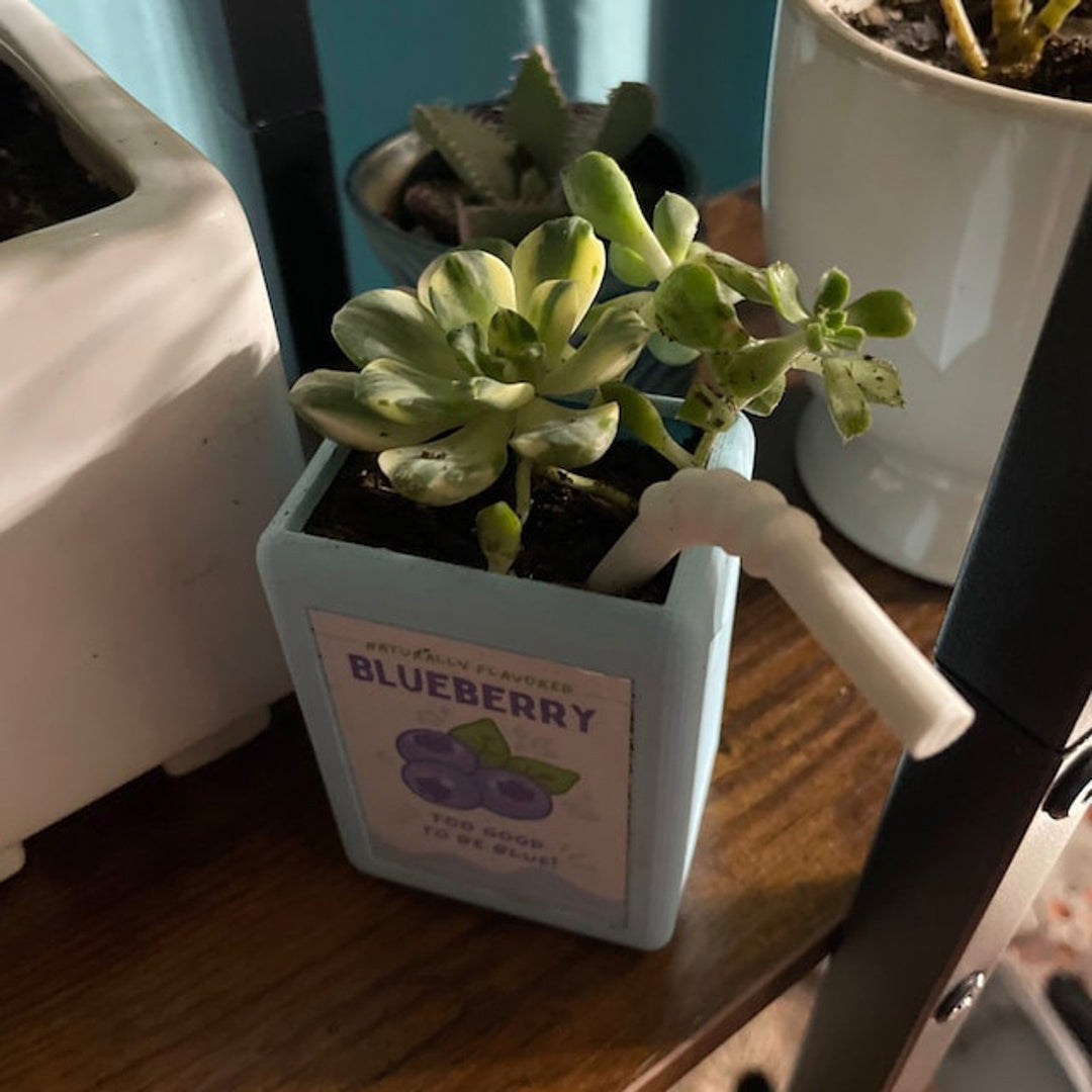 Juice Box Planter