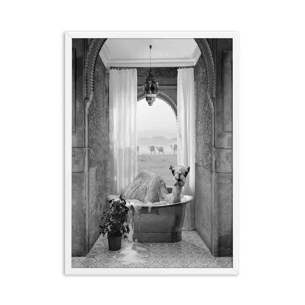 Animals In The Tub Canvas Posters