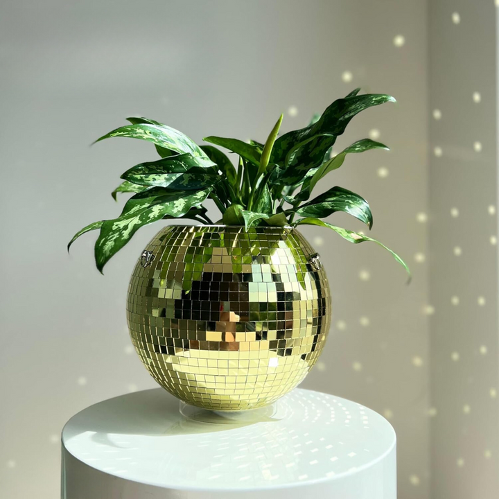 Disco Ball Planter