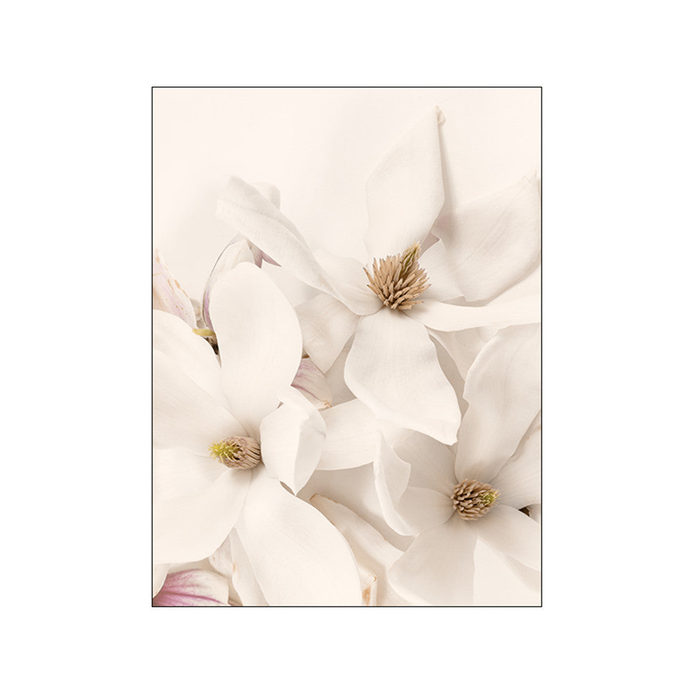 Calm Serenity Canvas Posters