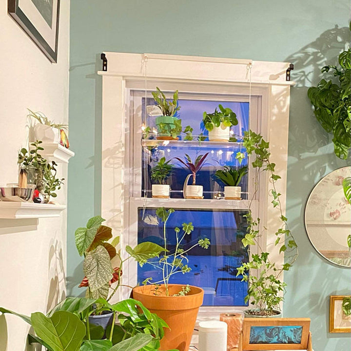 Transparent Flower Pot Hanging Shelf