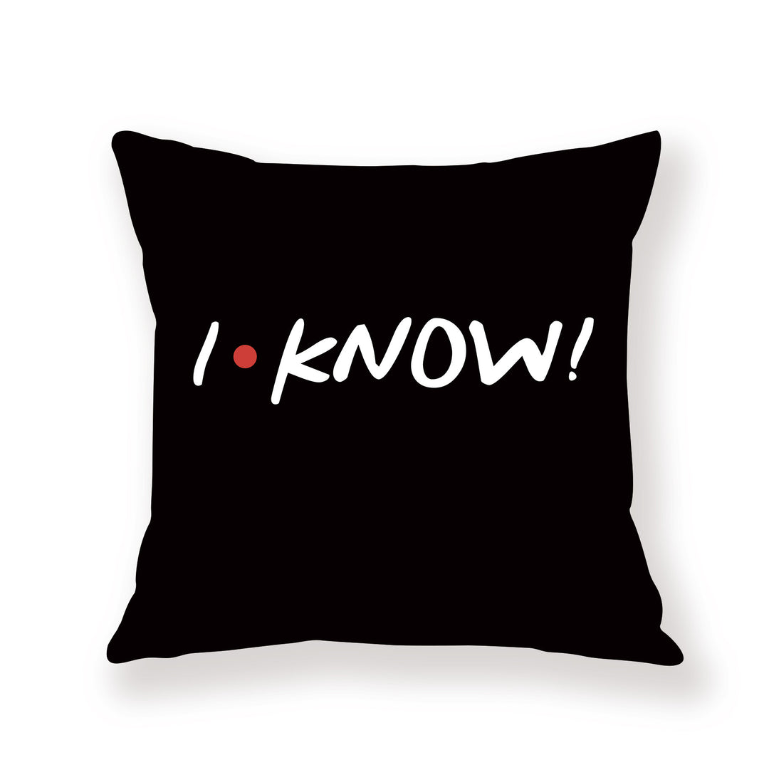 FRIENDS Quotes Throw Pillow Covers