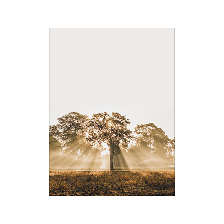 Calm Serenity Canvas Posters