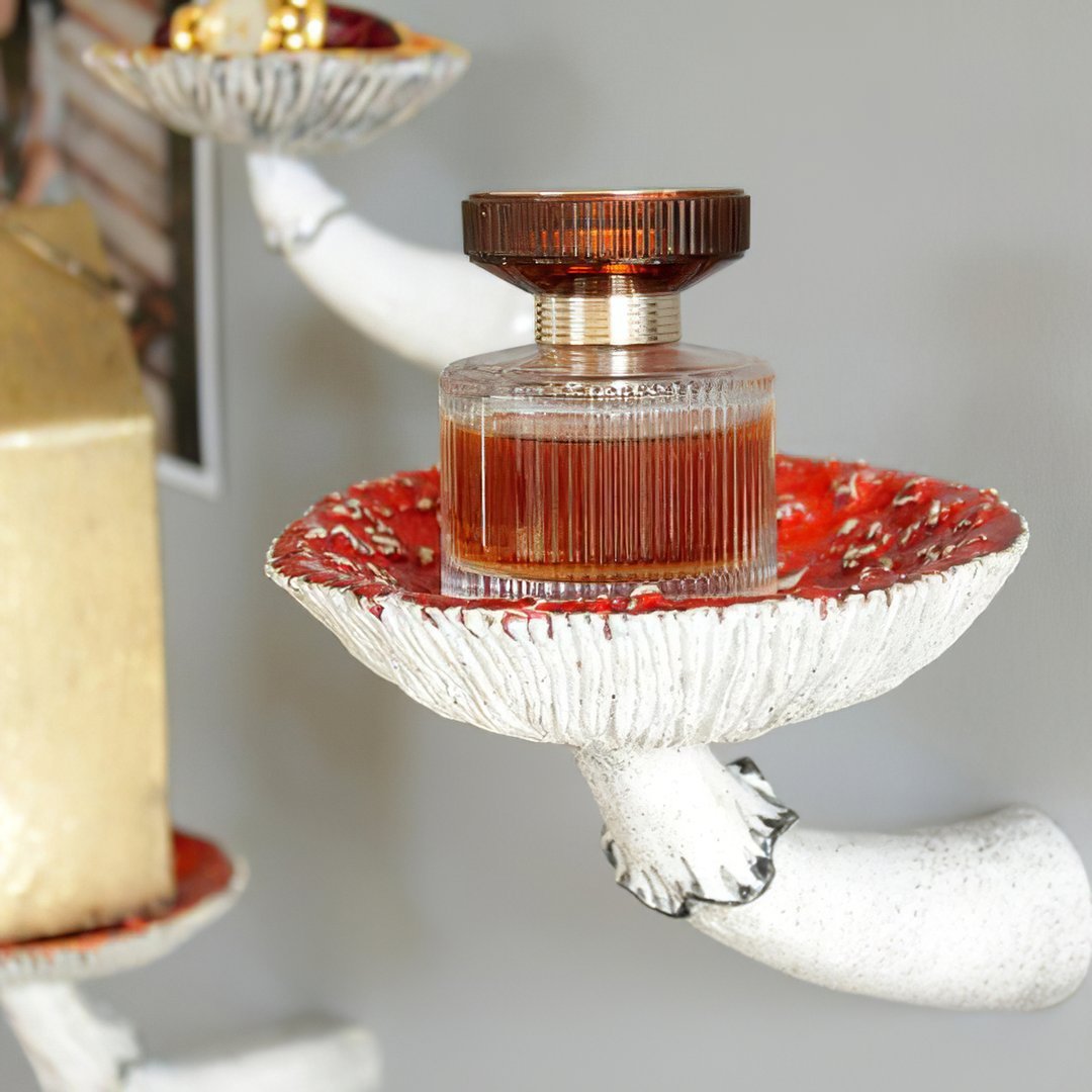 Mushroom Wall Shelf