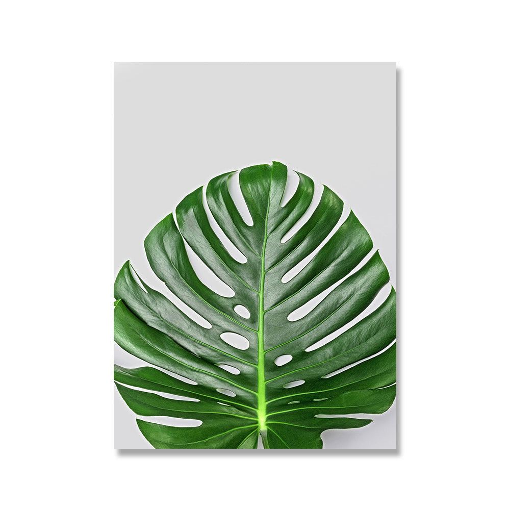 Tropical Leafs Canvas Posters