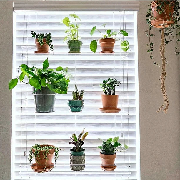 Transparent Flower Pot Hanging Shelf