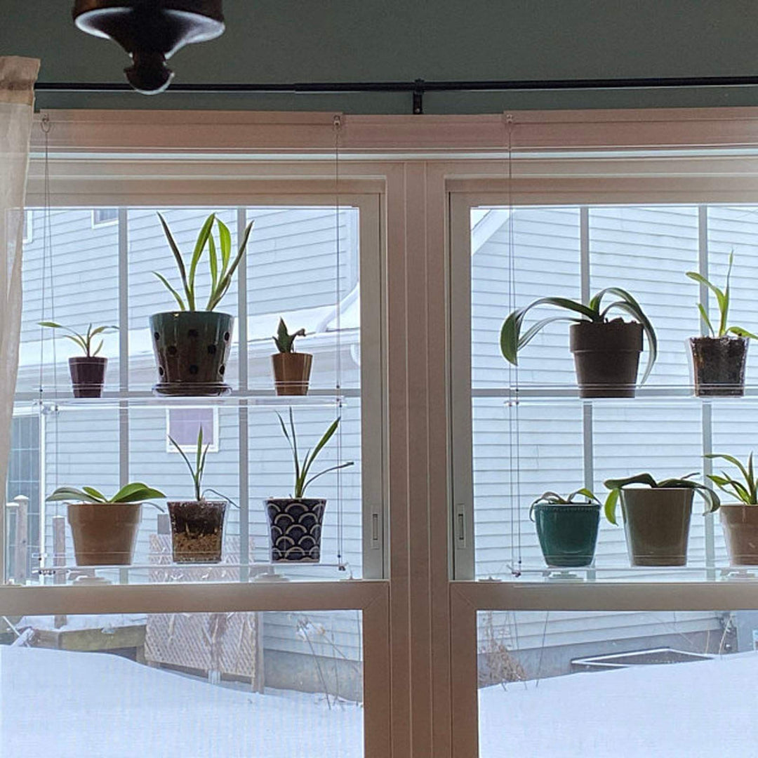 Transparent Flower Pot Hanging Shelf