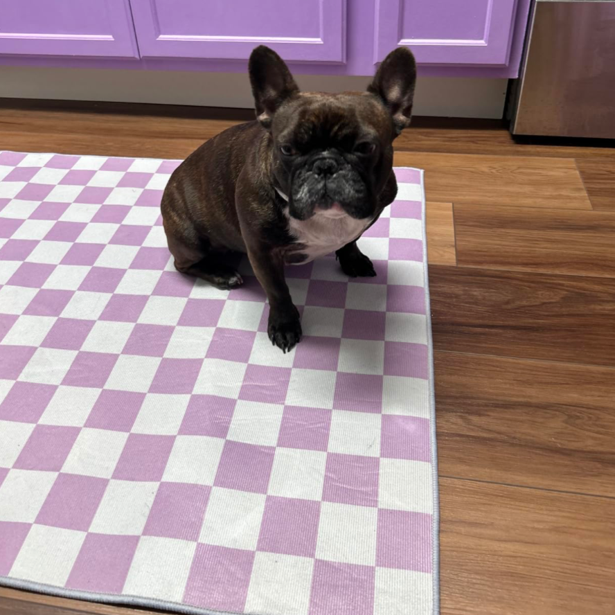 Checkerboard Area Rug (8 Color Options)