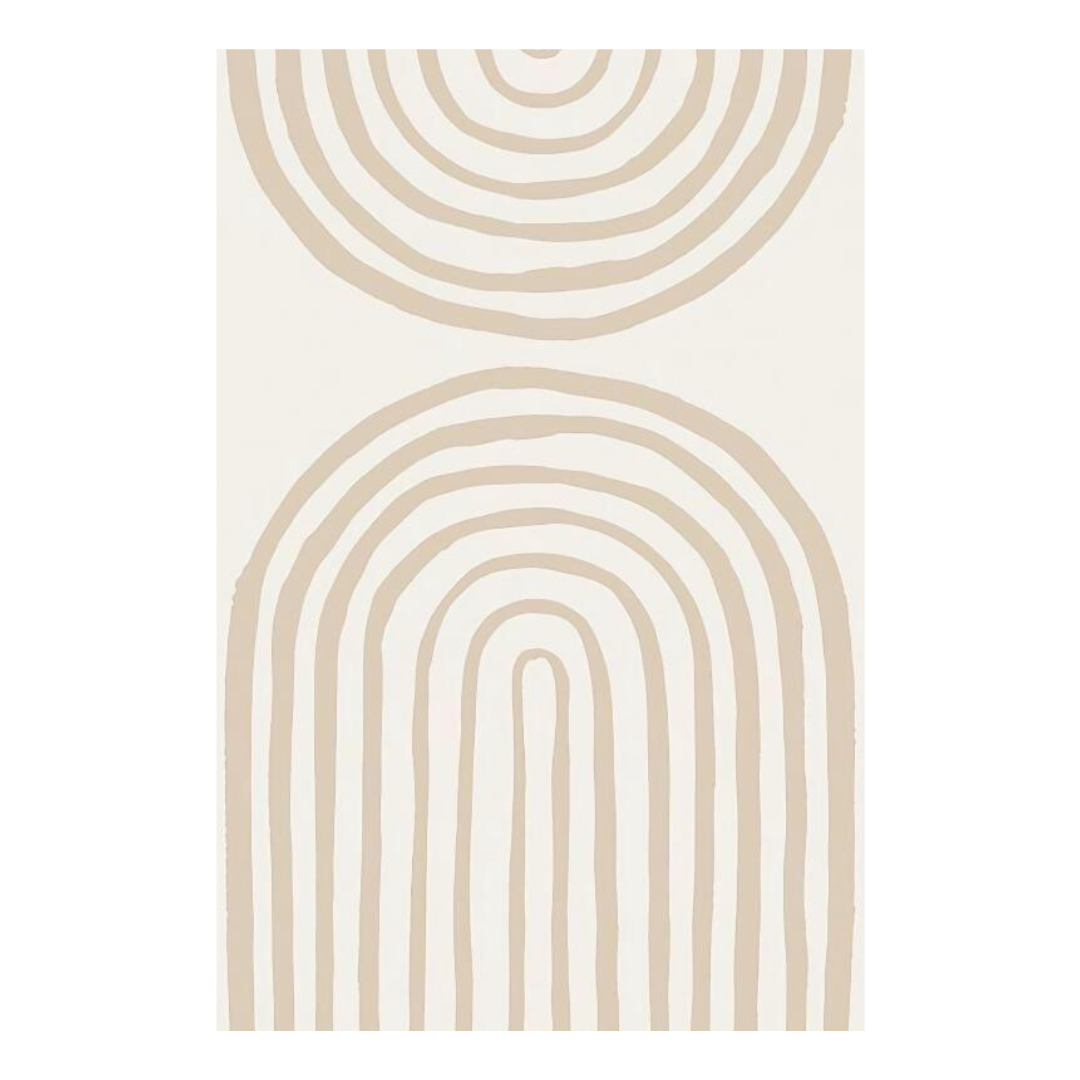 Abstract Curves Canvas Posters