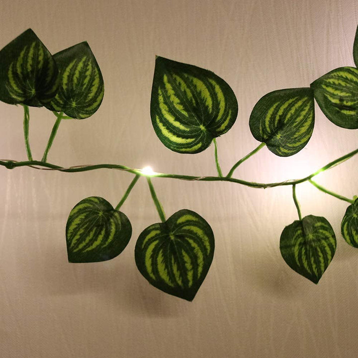 Close-up of 10M leaf vine string lights, aesthetic decor.