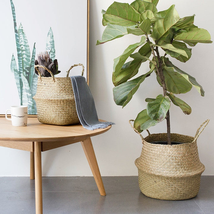 VibeCore BONO Handmade Wicker Baskets in medium and large sizes with a plant, highlighting their handwoven organic wicker design. Perfect as decorative planters or storage, adding a natural, boho-inspired touch to any space.