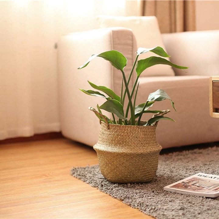 VibeCore BONO Handmade Wicker Basket with a plant in a living room setting, highlighting its handwoven organic wicker design. Perfect as a decorative planter, adding a natural, boho-inspired touch to your space.