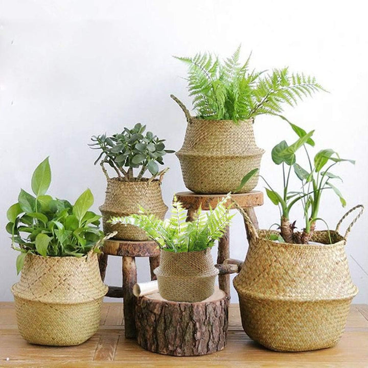 VibeCore BONO Handmade Wicker Basket in all sizes, crafted from handwoven organic wicker for a natural, boho-inspired touch. Perfect as a decorative planter cover, storage solution, or organizer for blankets, toys, or laundry. Lightweight, eco-friendly, and versatile for any space.