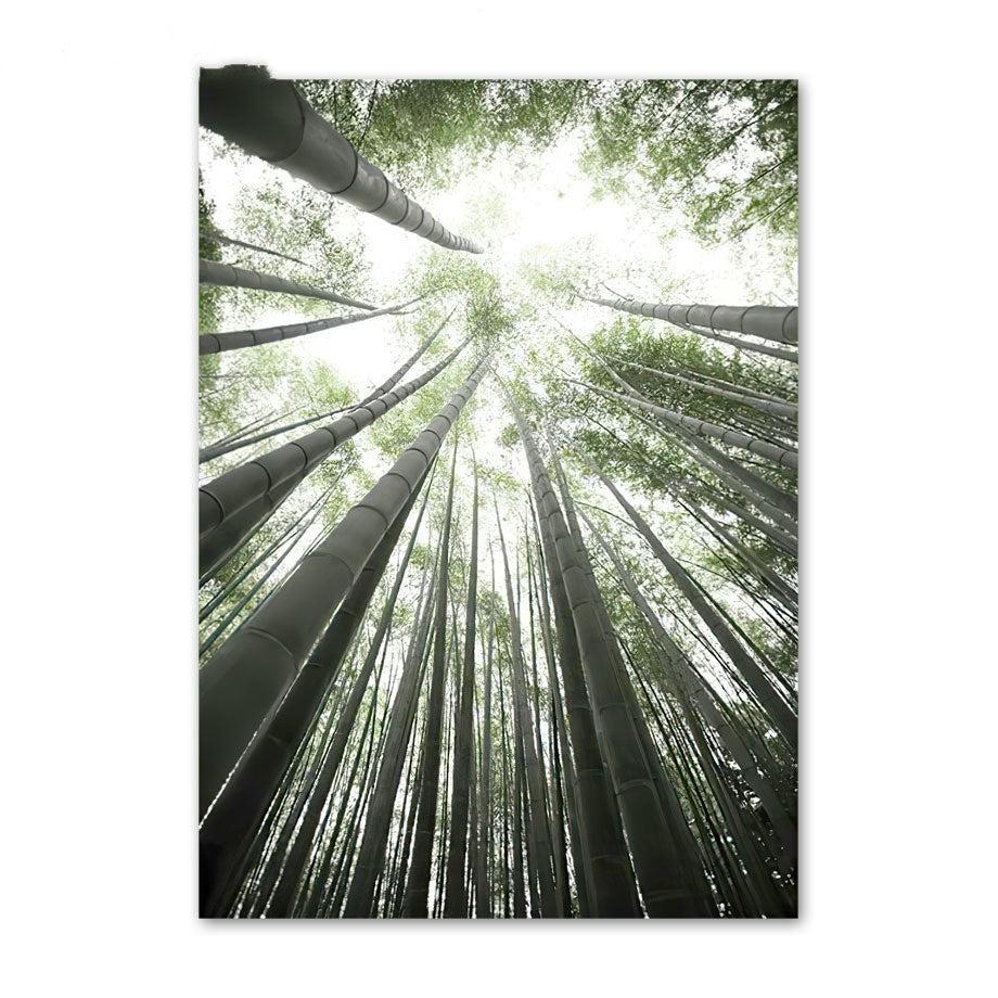 VibeCore Bamboo Forest Canvas Prints Option F: Tall trees looking up with sunlight peering through
