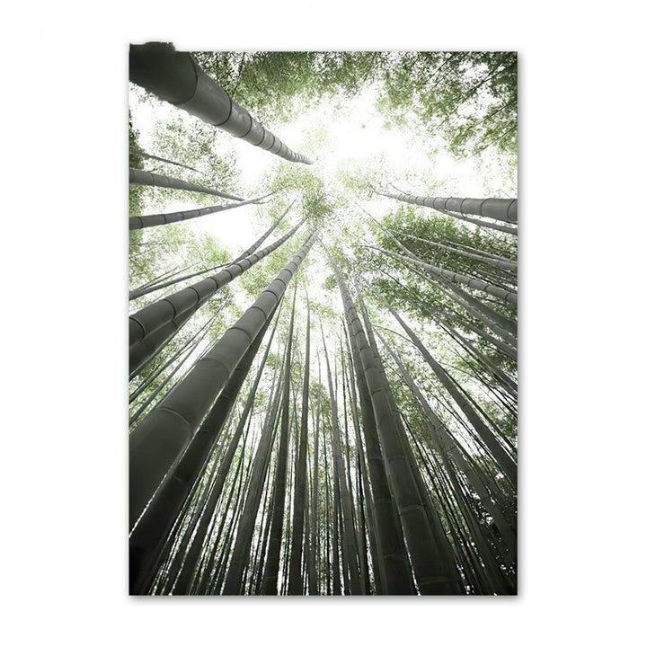 VibeCore Bamboo Forest Canvas Prints Option F: Tall trees looking up with sunlight peering through