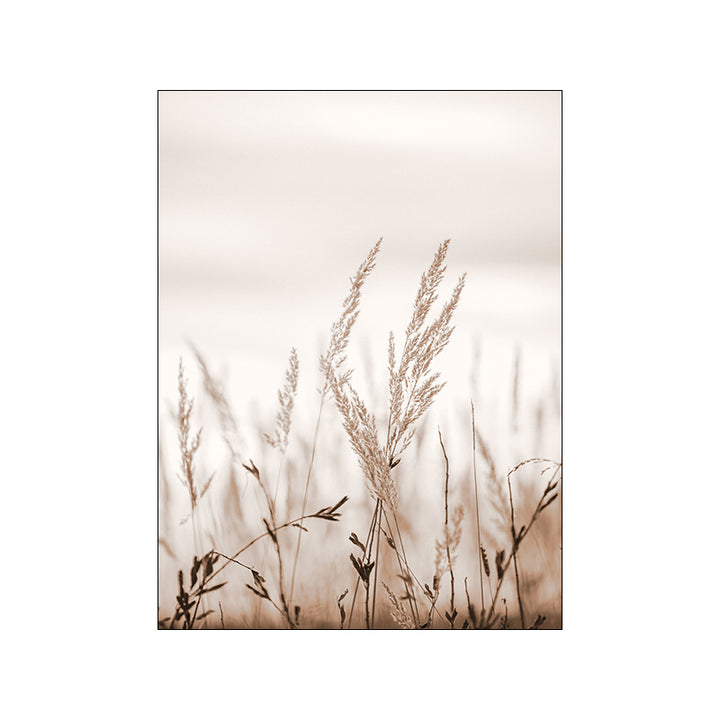 VibeCore Calm Nature Canvas Prints Option A: Wild grass close up
