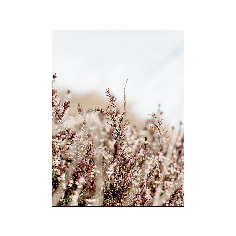 VibeCore Calm Nature Canvas Prints Option B: close up of wildflowers