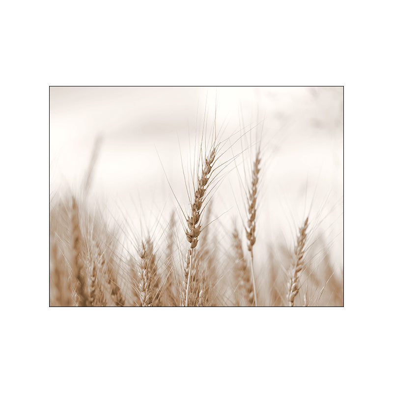 VibeCore Calm Nature Canvas Prints Option D: Close up of wheat