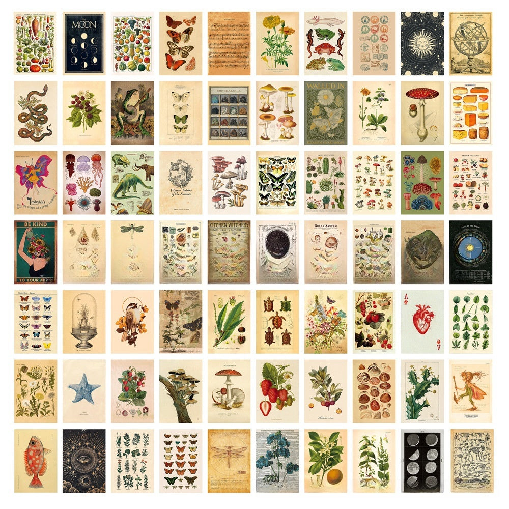 VibeCore Cottagecore Wall Collage Kit featuring 70 vintage-inspired prints with delicate nature designs. Perfect for dorm room, bedroom, cottagecore decor, vintage wall art, nature-inspired, dreamy, aesthetic wall decor, and nostalgic room styling.