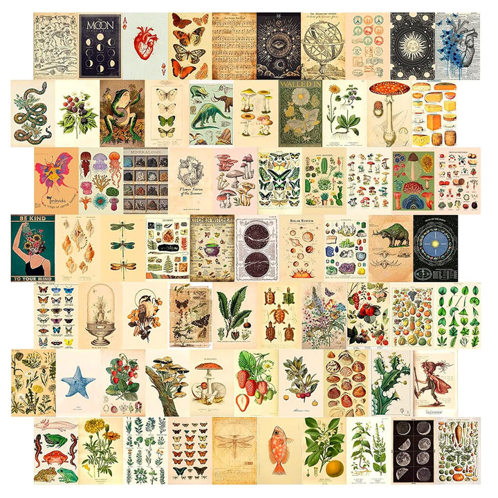 VibeCore Cottagecore Wall Collage Kit showcasing half of the posters with 70 vintage-inspired prints featuring delicate nature designs. Perfect for dorm room, bedroom, cottagecore decor, vintage wall art, nature-inspired, dreamy, and aesthetic wall decor.
