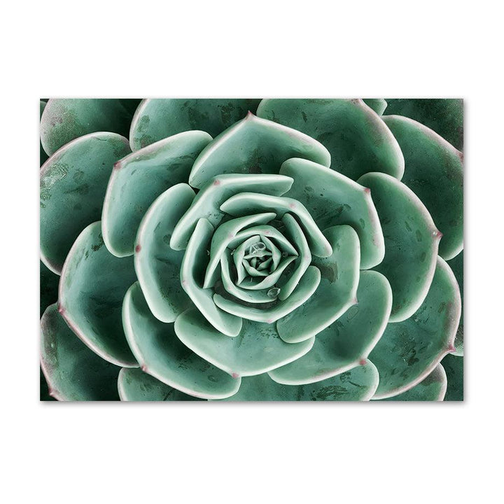 VibeCore Greenery Canvas Prints Option F: close up of green plant aerial view