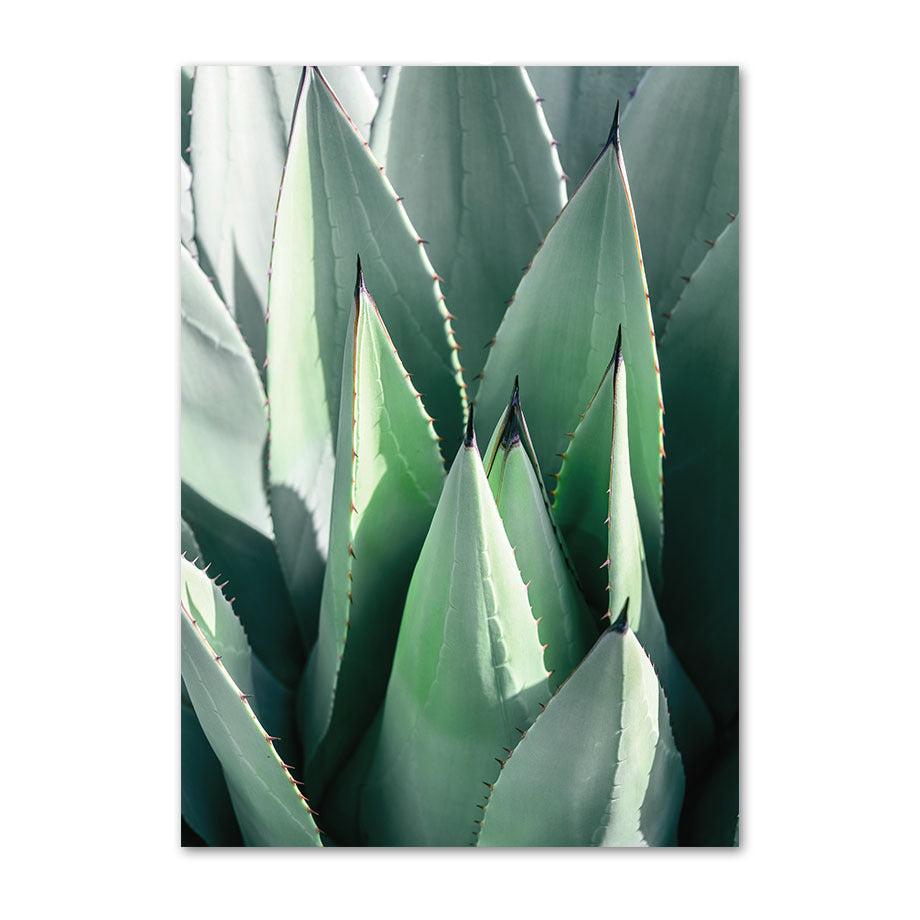 VibeCore Greenery Canvas Prints Option H: Close up of succulent plants