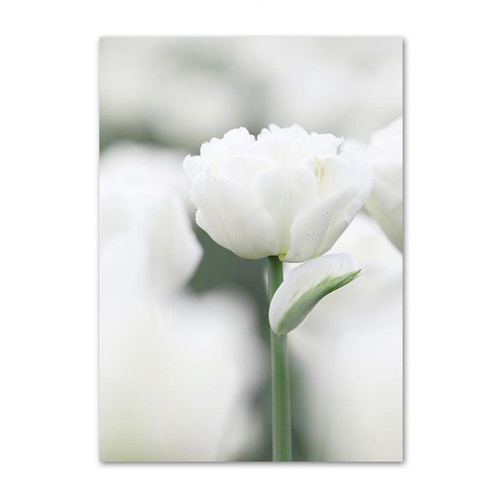 VibeCore Greenery Canvas Prints Option J: Close up of white flower