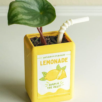 Brighten up your space with the VibeCore Juice Box Planter in Lemonade! This playful resin planter, designed to resemble a refreshing juice box, adds a fun, vibrant pop to any room. Perfect for small plants or succulents, it’s ideal for your desk, windowsill, or shelf. With its sunny lemonade hue, this mini planter brings a cheerful, eclectic touch to your decor, making it a must-have for anyone looking to add a unique and playful vibe to their home.