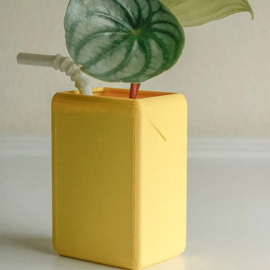 Show off the playful charm of the VibeCore Juice Box Planter in Lemonade, featuring a refreshing succulent in a resin juice box design. The back of this quirky planter showcases its detailed craftsmanship, adding a touch of fun and color from every angle. With its vibrant Lemonade hue and adorable succulent, it brings a pop of personality to any space, whether on your desk, windowsill, or shelf. Perfect for small plants, this planter adds an eclectic, dopamine-filled vibe to your room decor while keeping th