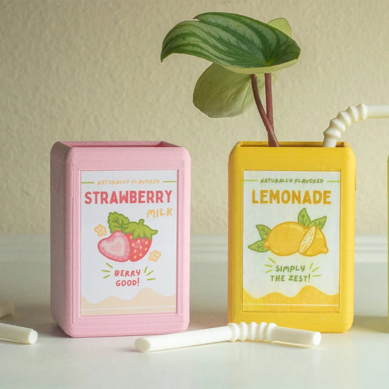 Add a burst of color and personality to your space with the VibeCore Juice Box Planter in vibrant strawberry and lemonade flavors! This fun, fruity resin planter brings a playful, nostalgic vibe to your decor, perfect for housing small plants or succulents. With its quirky juice box design, it makes a bold statement on your desk, windowsill, or shelf. Ideal for a teen room, dorm, or eclectic space, this mini planter adds a touch of dopamine decor, blending style and functionality in the most fun way possibl