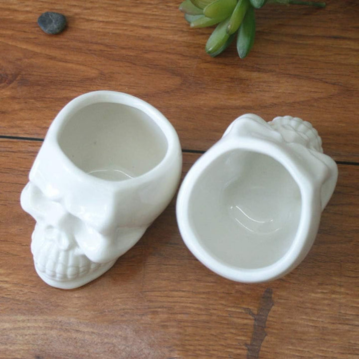 Aerial view of two mini skull planters with small plants, ideal for gothic and dark academia decor.