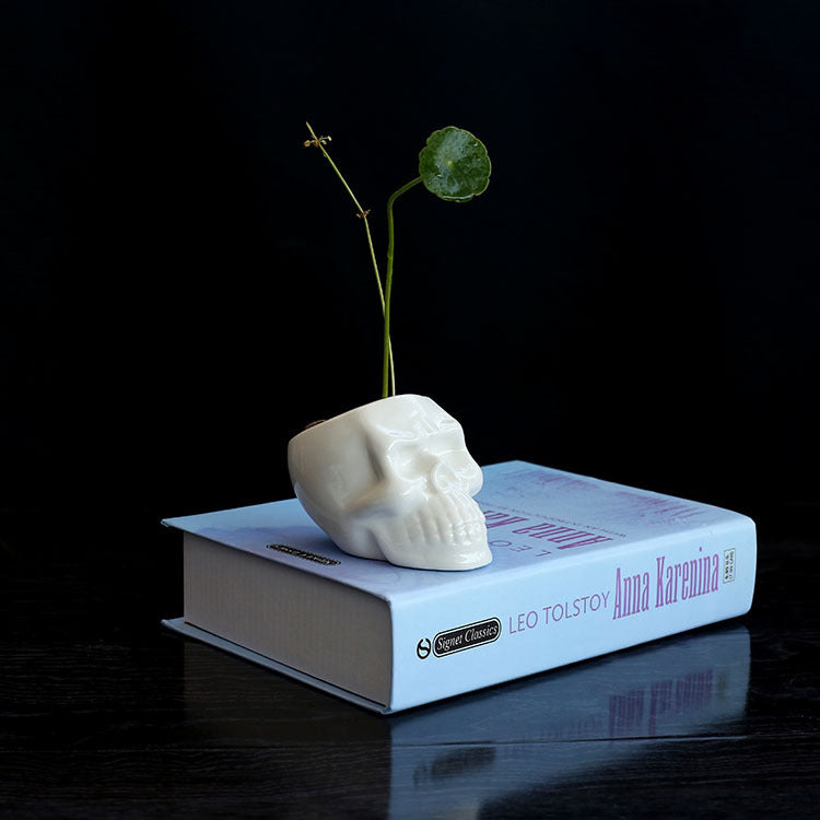 Mini skull planter on book, showcasing small plants or succulents, perfect for gothic and dark academia decor.