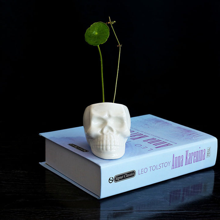Mini skull planter on a book, showcasing its edgy design for gothic and dark academia decor.