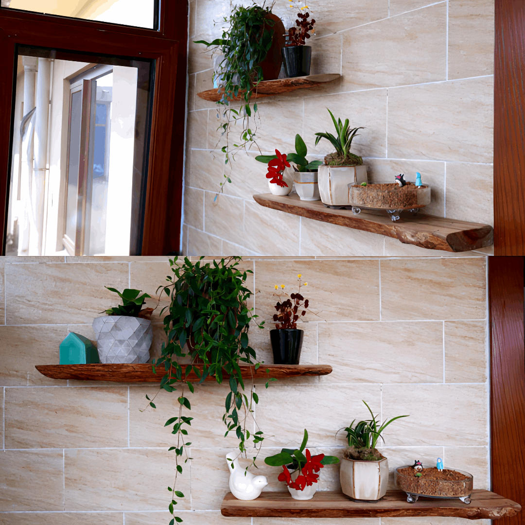 VibeCore Rustic Solid Wood Floating Wall Shelves in a bathroom, displaying plants and toiletries with a natural wood finish.
