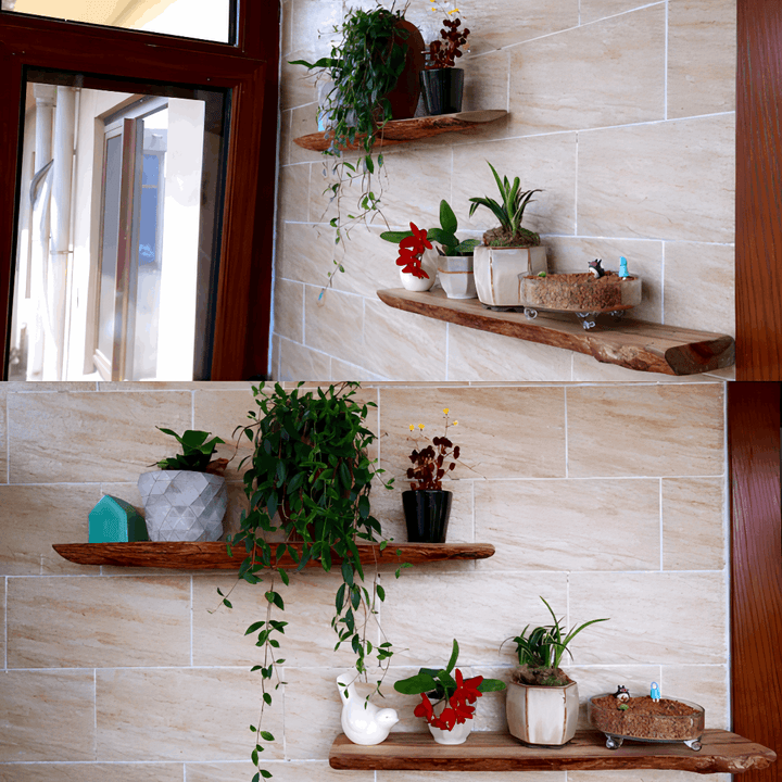 VibeCore Rustic Solid Wood Floating Wall Shelves in a bathroom, displaying plants and toiletries with a natural wood finish.