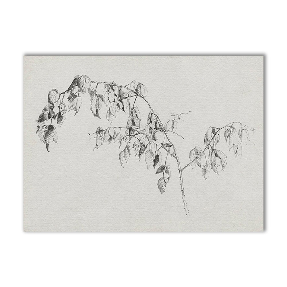 VibeCore Vintage European Canvas Prints Option B: Drawing of branch