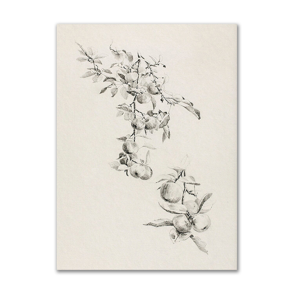 VibeCore Vintage European Canvas Prints Option H: Drawing of fruit tree branch
