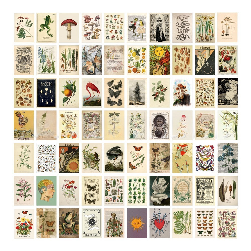 VibeCore Witchcore Wall Collage Kit featuring 70 enchanting witchcore and nature-inspired prints. Perfect for witchy decor, nature vibes, dorm room styling, mystical atmosphere, cottagecore aesthetic, and personalized wall art display.