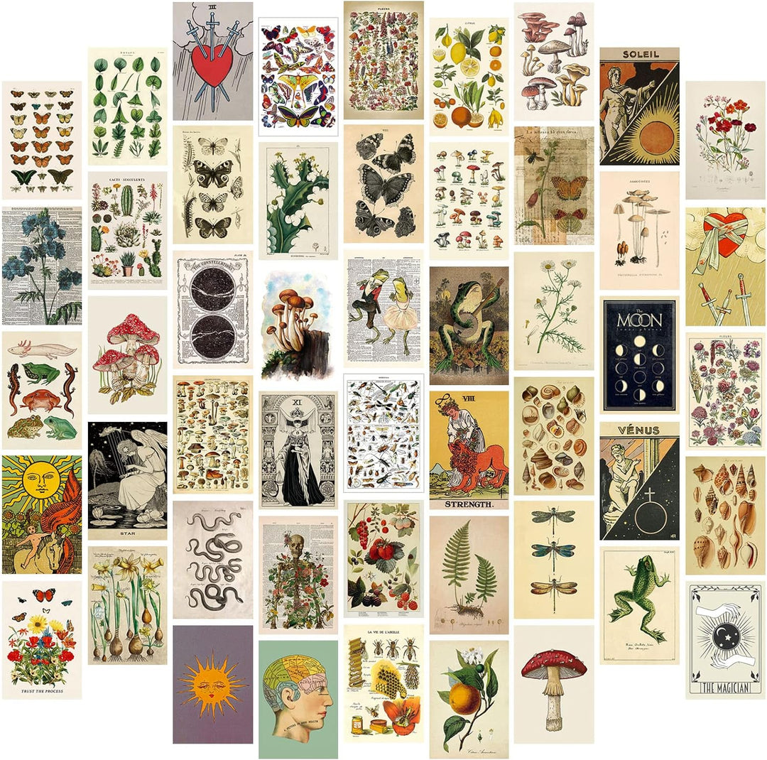 VibeCore Witchcore Wall Collage Kit with half of the posters featuring 70 enchanting witchcore and nature-inspired prints. Perfect for creating a mystical vibe, witchy wall decor, nature-inspired art, dorm room, bedroom, and personalized collage display.