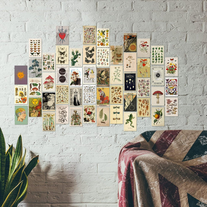 VibeCore Witchcore Wall Collage Kit in apartment featuring 70 enchanting witchcore and nature-inspired prints. Perfect for apartment decor, mystical atmosphere, witchy aesthetic, nature-inspired art, and personalized home styling.