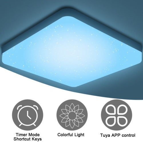 Ceiling LED Color-Changing Light