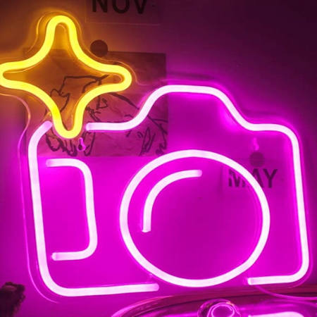 Camera Neon Light